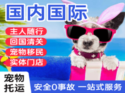 格尔木航空快运国际宠物托运 【国